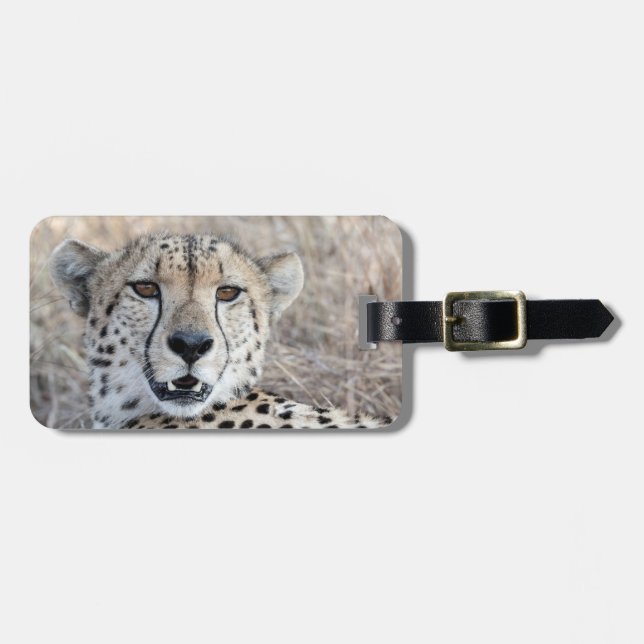 Etiqueta Para Maletas Cheetah Portrait (Frente Horizontal)