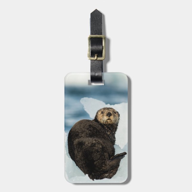Etiqueta Para Maletas Chilly Sea Otter (Frente Vertical)