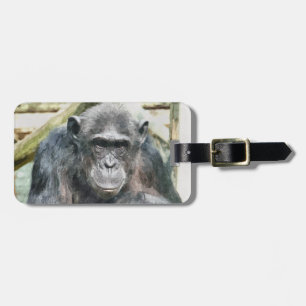 ETIQUETA PARA MALETAS CHIMPANZEES