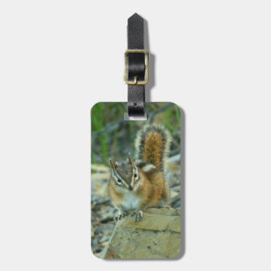 Etiqueta Para Maletas Chipmunk en el Parque Nacional Glaciar