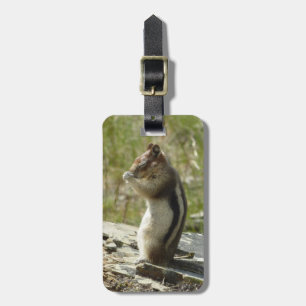 Etiqueta Para Maletas Chipmunk en el Parque Nacional Glaciar II