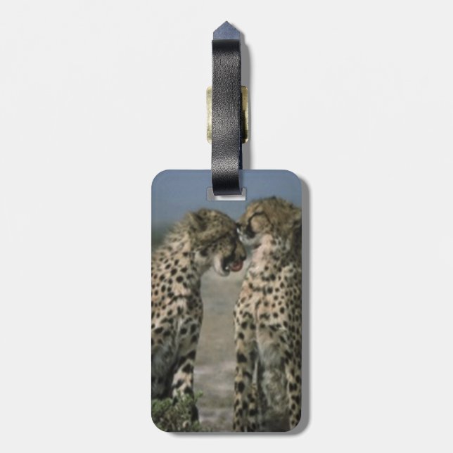 Etiqueta Para Maletas Chitas enamoradas (Atrás Vertical)