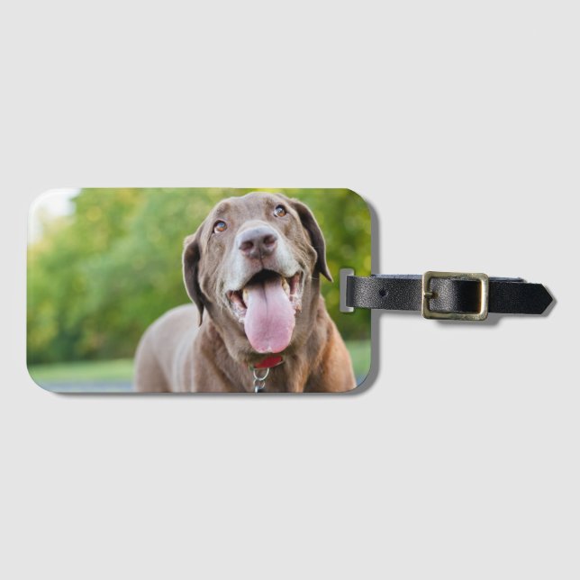 Etiqueta Para Maletas Chocolate Labrador Dog (Anverso horizontal)