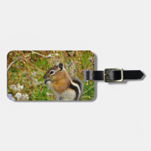 Etiqueta Para Maletas Chubby lindo chipmunk sobre trozo de madera