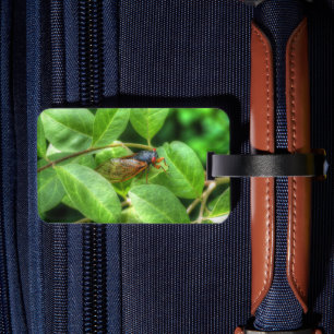 Etiqueta Para Maletas Cicata de ojos rojos