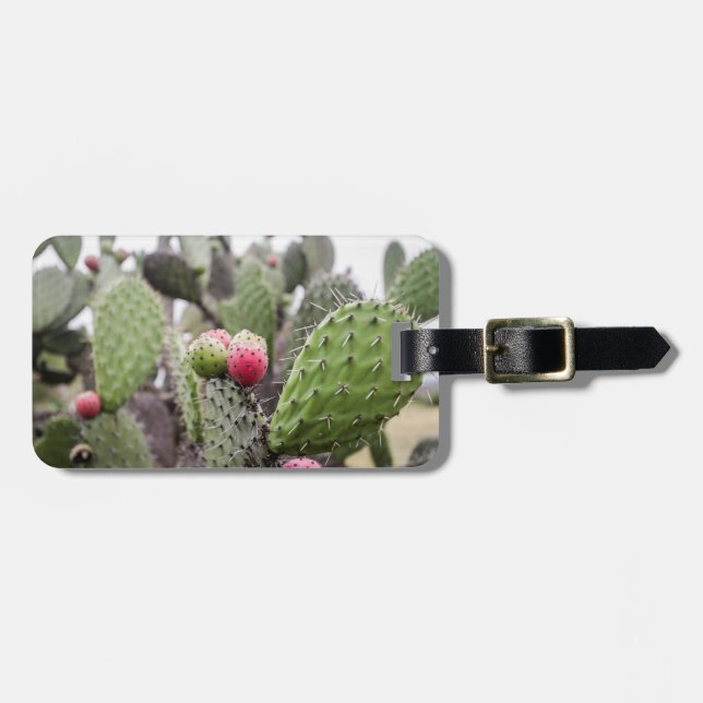 Etiqueta Para Maletas Cierre De Cactus Pear Págicos (Frente Horizontal)