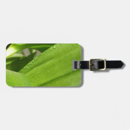 Etiqueta Para Maletas Cierre de la planta de orquídeas de Dendrobium ver