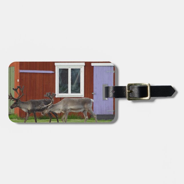 ETIQUETA PARA MALETAS CIERVOS DEL DISCO (Frente Horizontal)