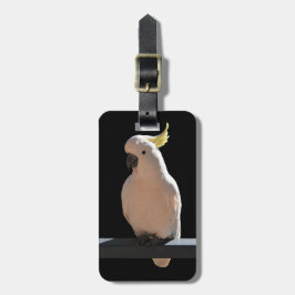 Etiqueta Para Maletas Cockatoo en Sundial Apartments Lumaletas Tag