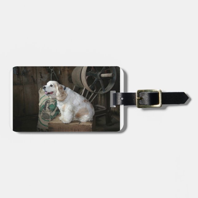 Etiqueta Para Maletas cocker spaniel americano sentado (Frente Horizontal)