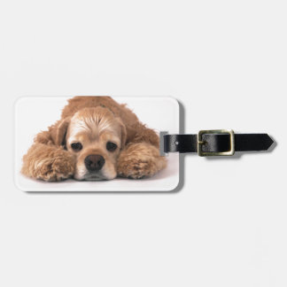 Etiqueta Para Maletas Cocker spaniel lindo