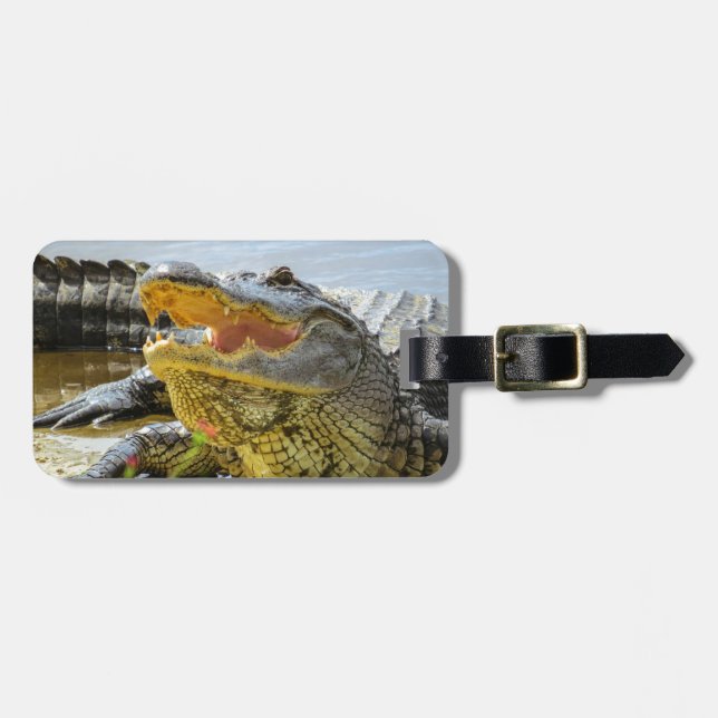 Etiqueta Para Maletas Cocodrilo. Cara a cara (Frente Horizontal)