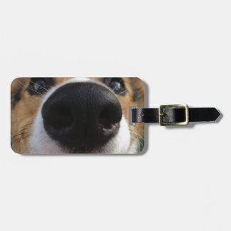 Etiqueta Para Maletas Colección de la nariz de perro del Corgi Galés