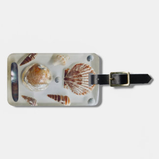 Etiqueta Para Maletas Colección de shell de playa