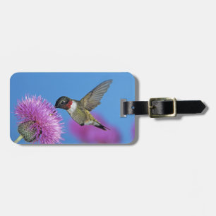 Etiqueta Para Maletas Colibrí de garganta rubí