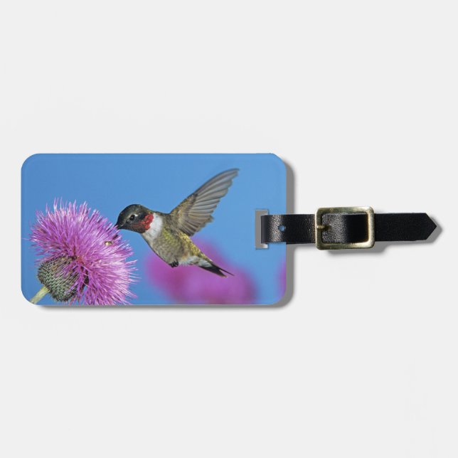 Etiqueta Para Maletas Colibrí de garganta rubí (Frente Horizontal)