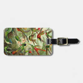 Etiqueta Para Maletas Colibrí del Trochilidae de Ernst Haeckel