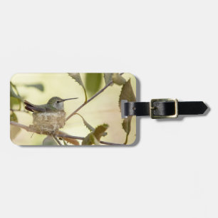 Etiqueta Para Maletas Colibrí hembra en su nido