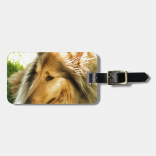 Etiqueta Para Maletas Collie