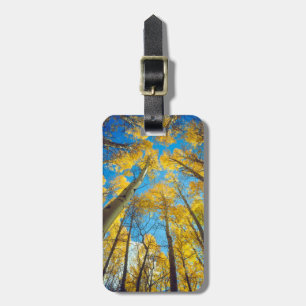 Etiqueta Para Maletas Colores de otoño de los árboles de Aspen 2
