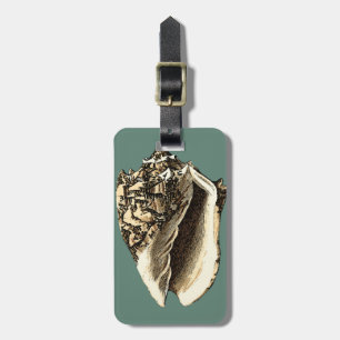 Etiqueta Para Maletas Concha verde azulada