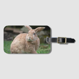 Etiqueta Para Maletas Conejo de jengibre con orejas grandes