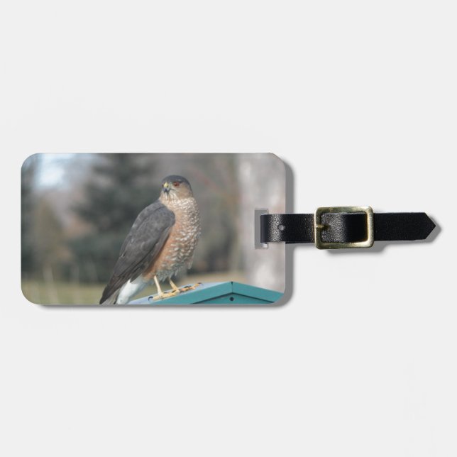 Etiqueta Para Maletas Coopers Hawk (Frente Horizontal)