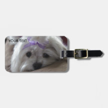 Cosas diseñadas en maltés