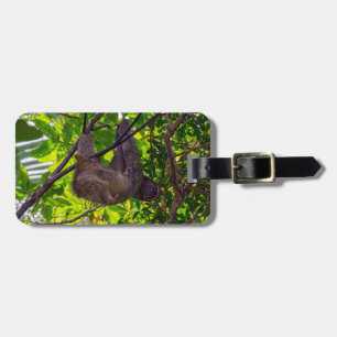 Etiqueta Para Maletas Costa Rica - Feliz Lazy Sloth, Antonio Manuel NP