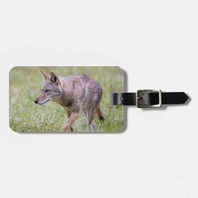 Etiqueta Para Maletas Coyote en el campo, ensenada de Cades (Frente Horizontal)