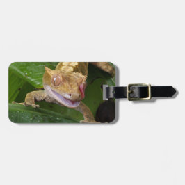 Etiqueta Para Maletas Crested Gecko