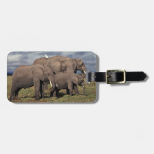 Etiqueta Para Maletas Cría de elefante africano con familia