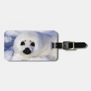 Etiqueta Para Maletas Cría de foca arpa hielo Golfo de San Lorenzo,