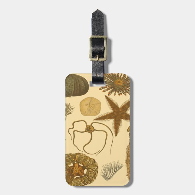 Etiqueta Para Maletas Criaturas submarinas (Frente Vertical)