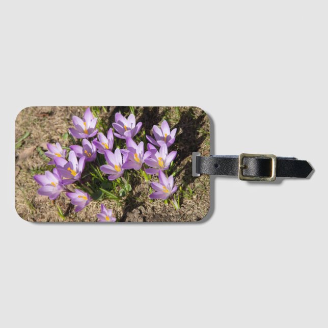 Etiqueta Para Maletas Cruces elásticos (Anverso horizontal)