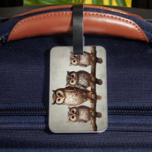 Cuatro búhos encantadores