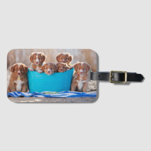 Etiqueta Para Maletas Cubo De Cachorros En La Playa
