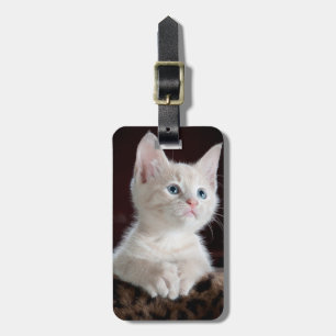 Etiqueta Para Maletas Curioso gatito