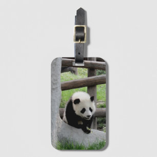 Etiqueta Para Maletas Cute Baby Panda