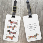 Etiqueta Para Maletas Dachshund Sausage Dog Nombre personalizado<br><div class="desc">Pequeña salchicha de Dachshund o perritos de peluquería en ropa de cama de lana. Perfecto para los amantes de los perros y los paseantes. Cambiar los detalles de contacto en la parte posterior.</div>