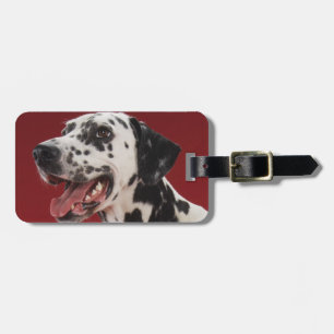Etiqueta Para Maletas Dalmatian
