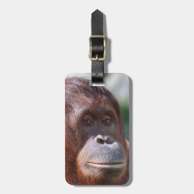 Etiqueta Para Maletas Dama de Orangutan (Frente Vertical)