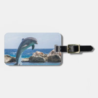 Delfín de Bottlenose