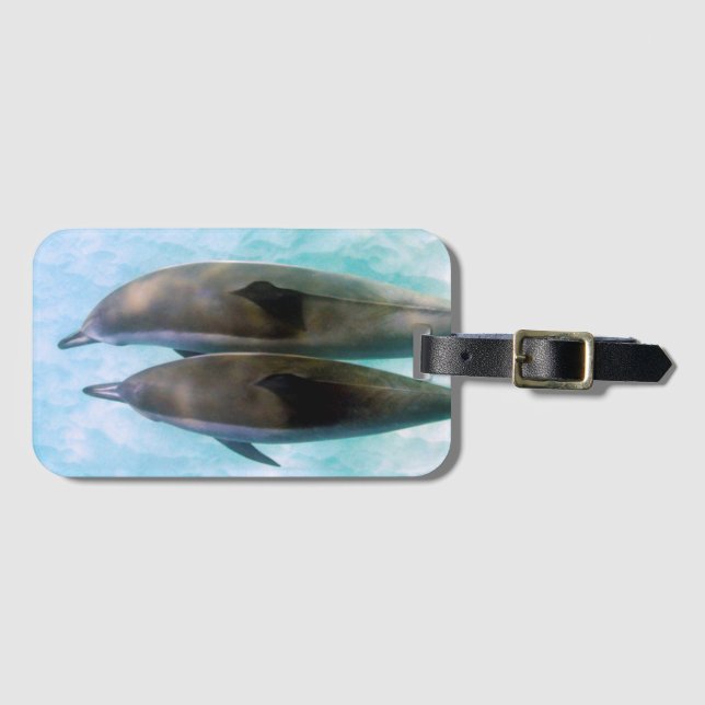 Etiqueta Para Maletas Delfines spinner| Oahu Hawaii (Anverso horizontal)