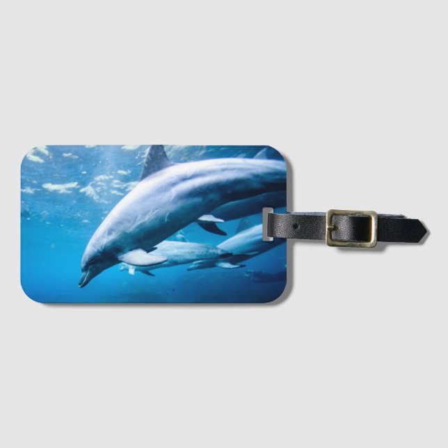 Etiqueta Para Maletas Delfines submarinos (Anverso horizontal)