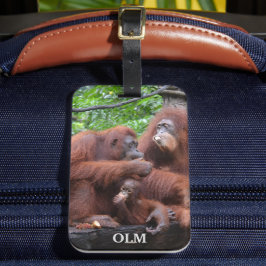 Etiqueta Para Maletas Desayuno con el Zoológico de Orangutans Singapur