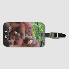 Etiqueta Para Maletas Desayuno con el Zoológico de Orangutans Singapur