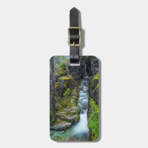 Etiqueta Para Maletas Desfiladero de Sunrift en Glacier National Park, M
