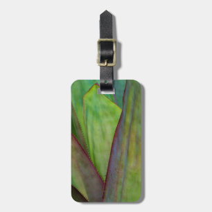 Etiqueta Para Maletas Detalle de la planta de agave
