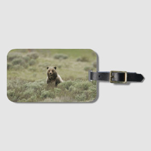 Etiqueta Para Maletas Detalles de Grizzly